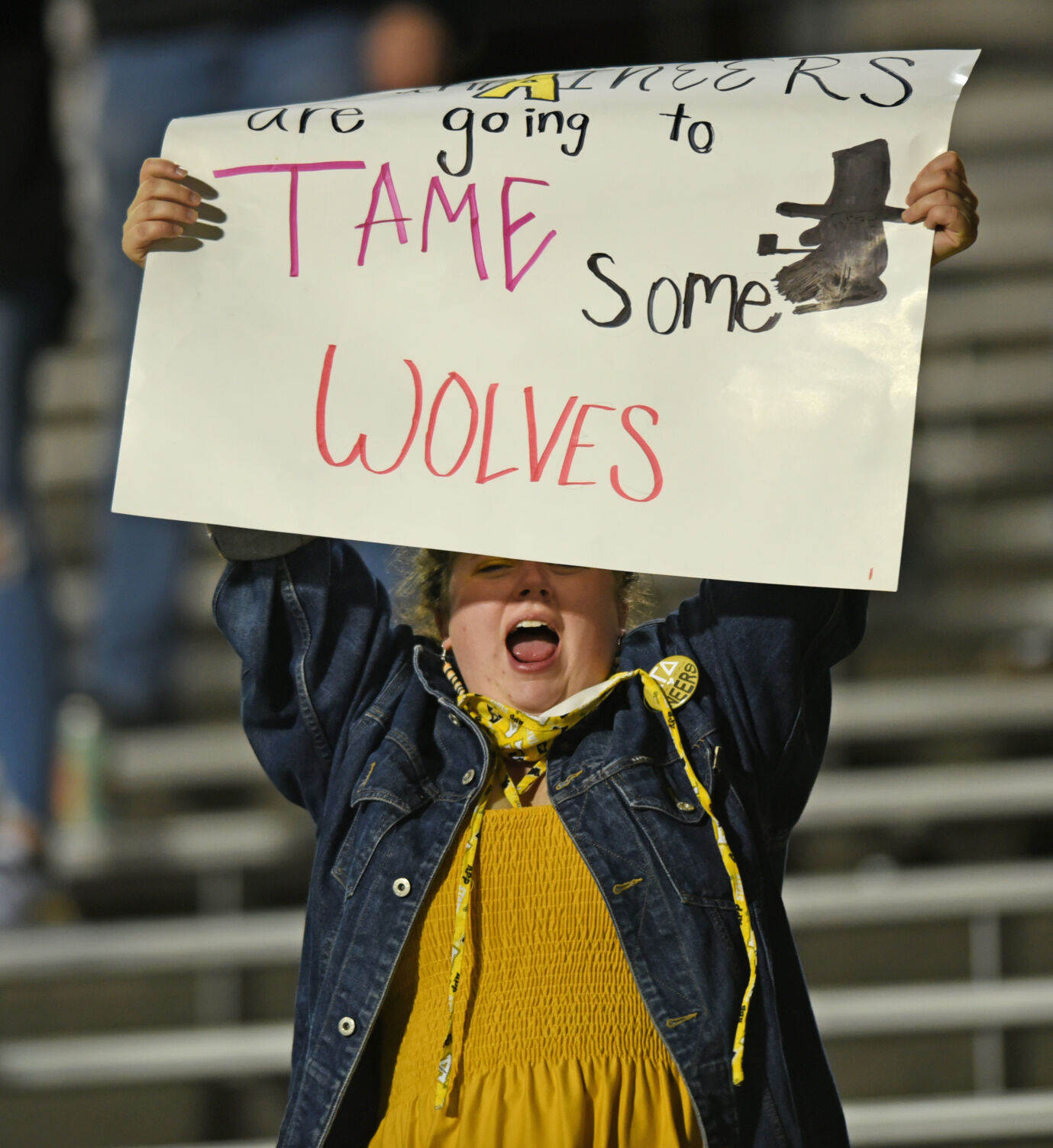 Arkansas State Appalachian State football